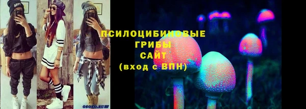 соль ск Нефтегорск