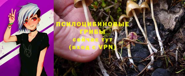 марки nbome Нефтекумск