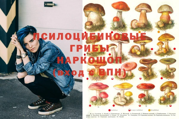 2c-b Долгопрудный